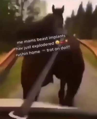 Rushing Home on 1 Horsepower Be Like