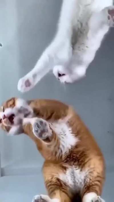 Thief