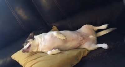 Rip Mr Bubz