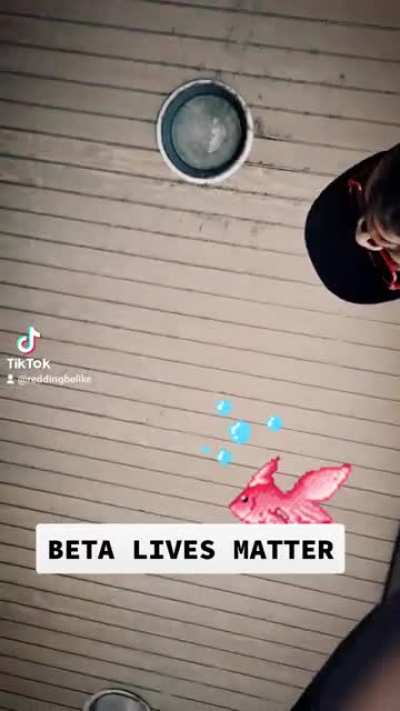 All Fish Matter. 🐟