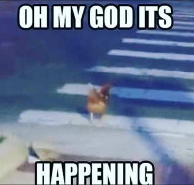 ITS HAPPENING