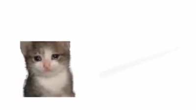 🫂
