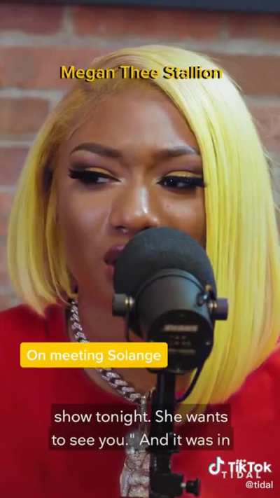 Megan Thee Stallion talks about meeting Solange