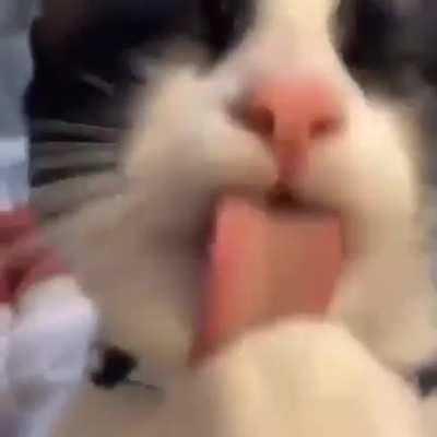 Day 2/20