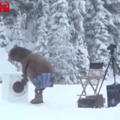 Hey a bear!