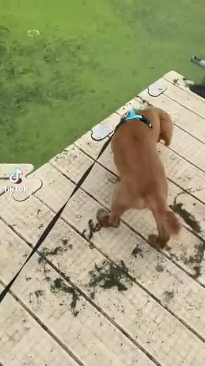 Just perfect