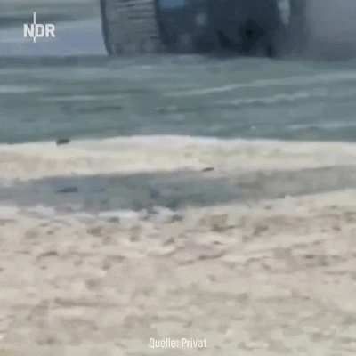 Sorry if repost. From absoluteunit. Rhino dominates car