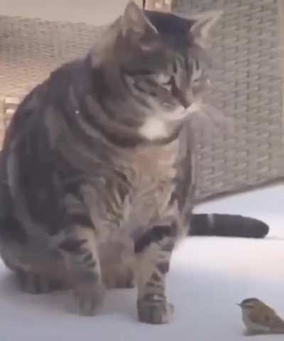 Oh lawd he fallin