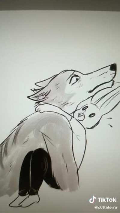 Furry_irl