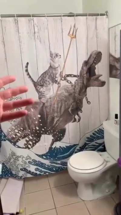 Gon bancas estas cortinas?