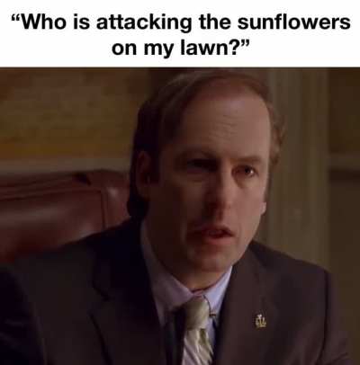 noooo saul they are going to eat your brains😭😭😭