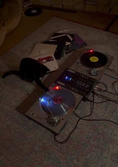 DJ Shadow