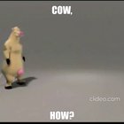Just How do you do COW? 🤤🤤🙄😲😲😲