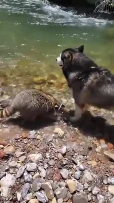 Sharing a secret