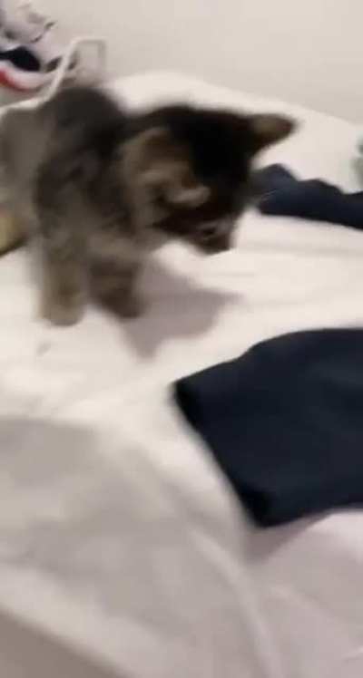How dare you!