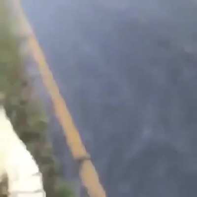 Guy throws gator into lake with one hand..and filmed himself doing it !