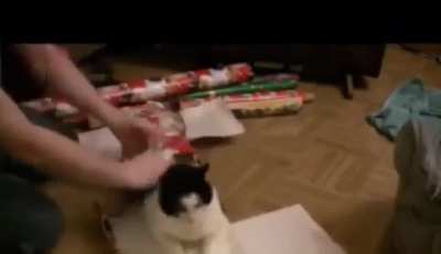 wunk‎‎‎ mas gift