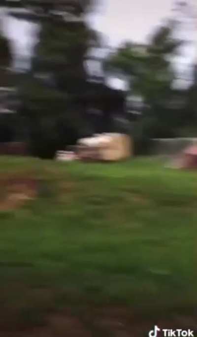 jschlattsubmissions - Video #6564