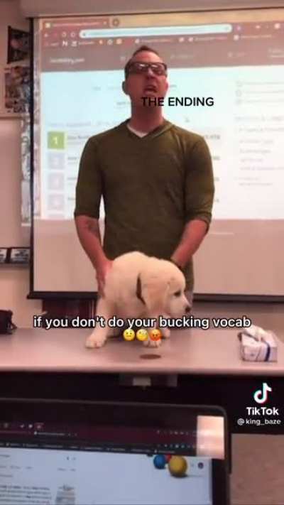 Just came across this on TikTok and thought it was pretty funny