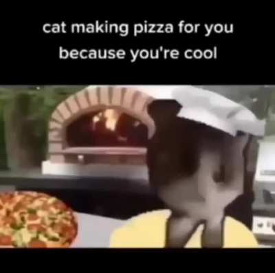 you're cool