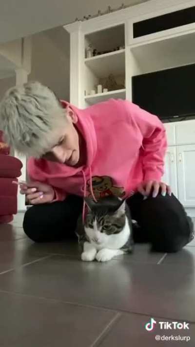 Cat and sound effects