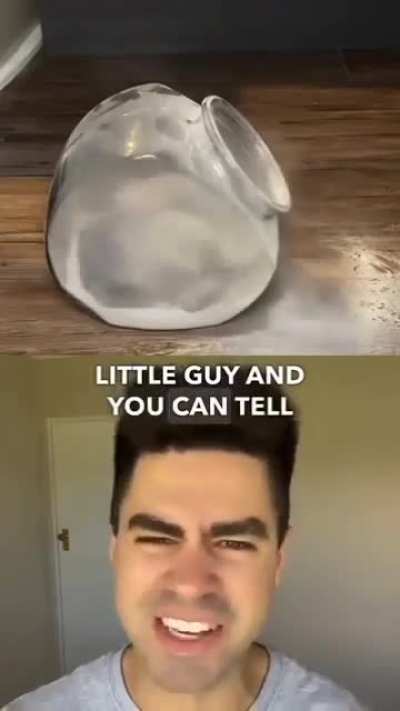 title.