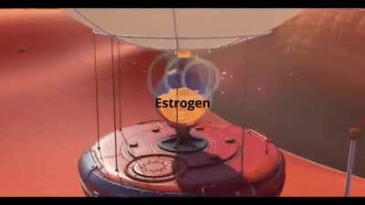 Estrogen go brrrr