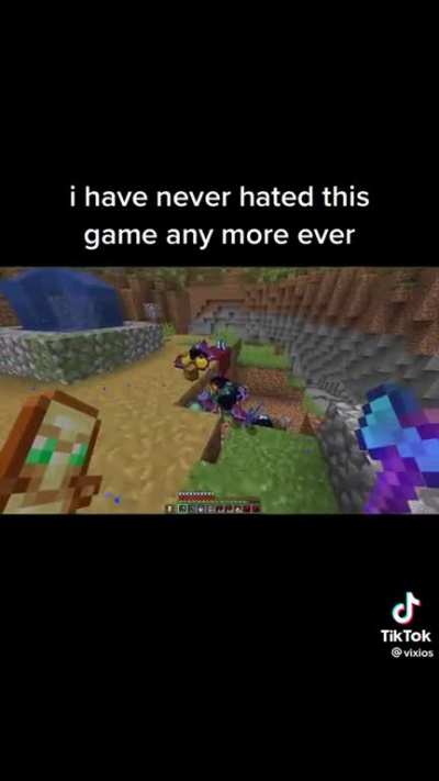 I would never play the game again