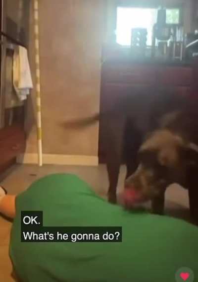 Man’s best friend isn’t a fan of new TikTok trend