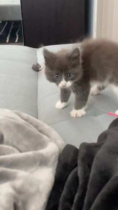 spooked