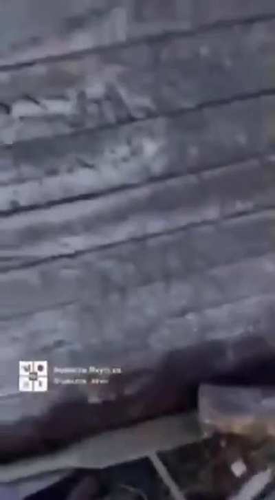 Mosquito invasion in Russia