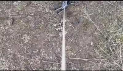 A Ukranian drone is helping its crashed buddy