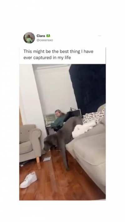 floor is lava
