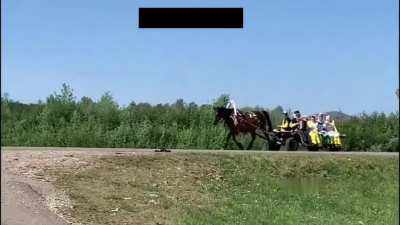 А поворотники включить? А в зеркало посмотреть?