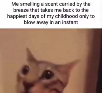 A burning memory