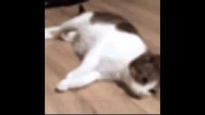 listening to sweet trip