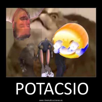 Gato dice potacsio 😂😂👌👌👌