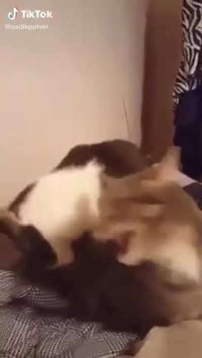 when your sister is trying to eat you