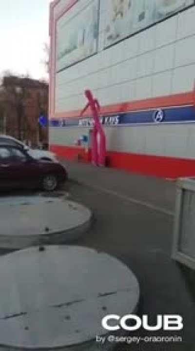 Жизнь гав...