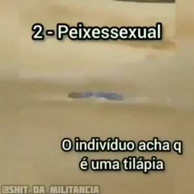 Top 5 pika