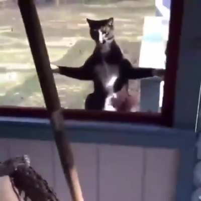 let me in