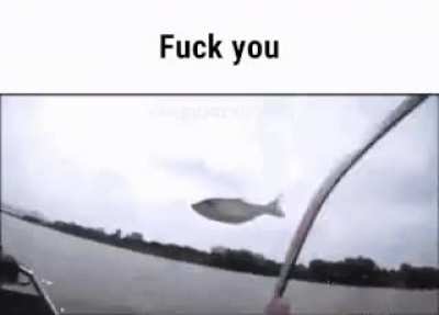 rule