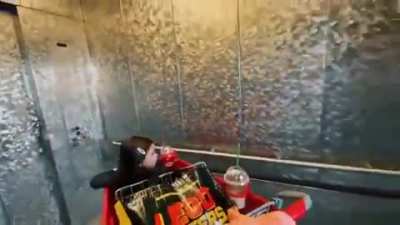 The Elevator Door