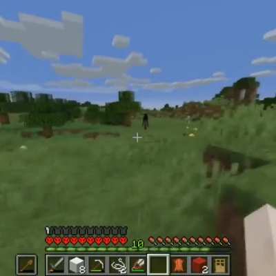 Enderman