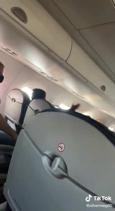 Crazy lady on a plane yelling all kinds of nonsense