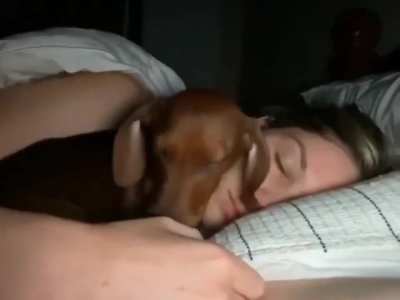 He’s just so precious