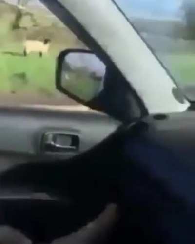 Ya todos se creen Óscar