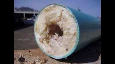 Forbidden Fleshlight Theme
