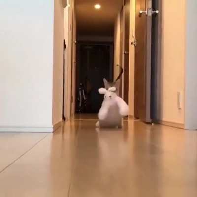 Here he comes with his toy