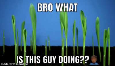 Why do plants do this kinda stuff??? 🙄😡😡👿